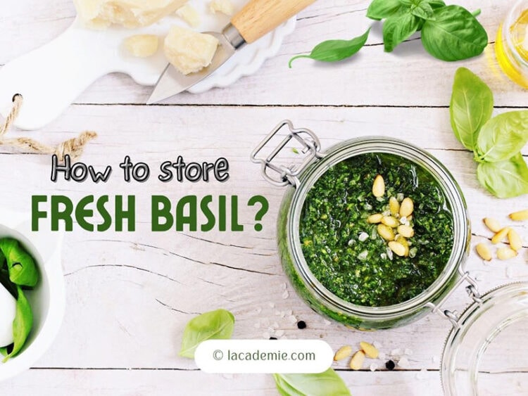 How To Store Fresh Basil with 5 Key Tips 2024