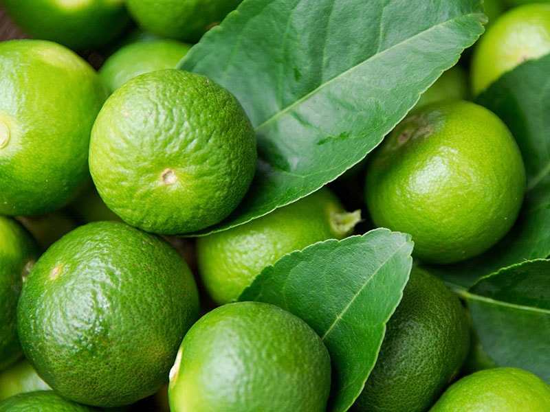 Lime Citrus Fruits