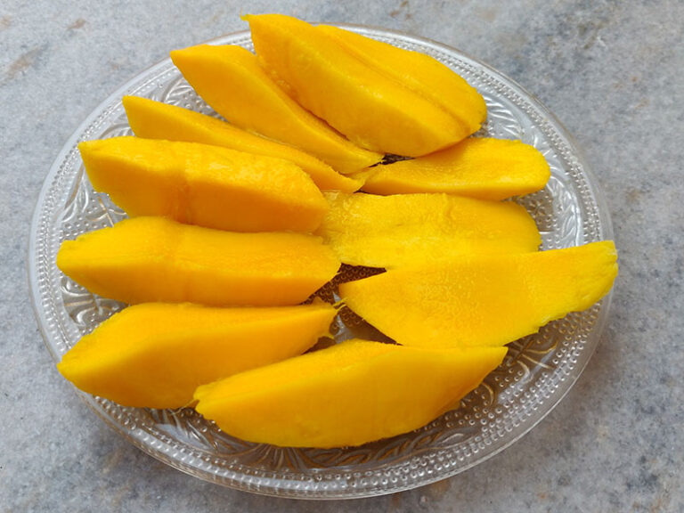 Mango Fruit Slices