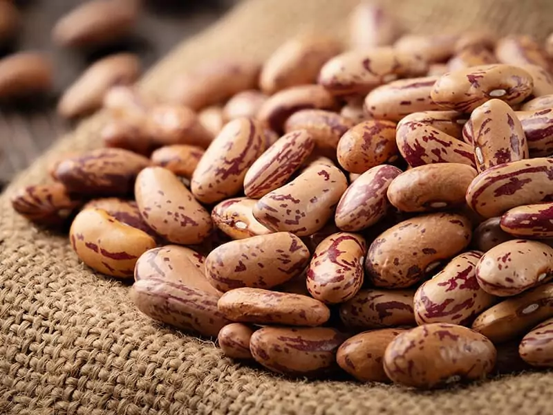 Pinto Beans on Jute Fabric