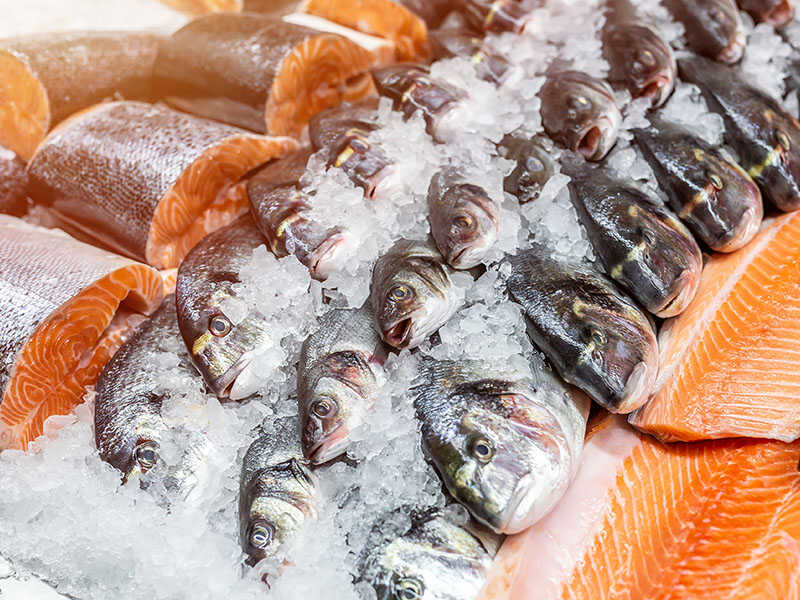 Seafood On Crushed Ice Fish