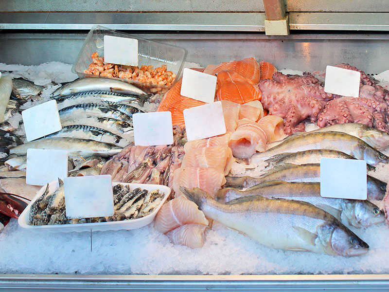 Stall Freshly Caught Fish