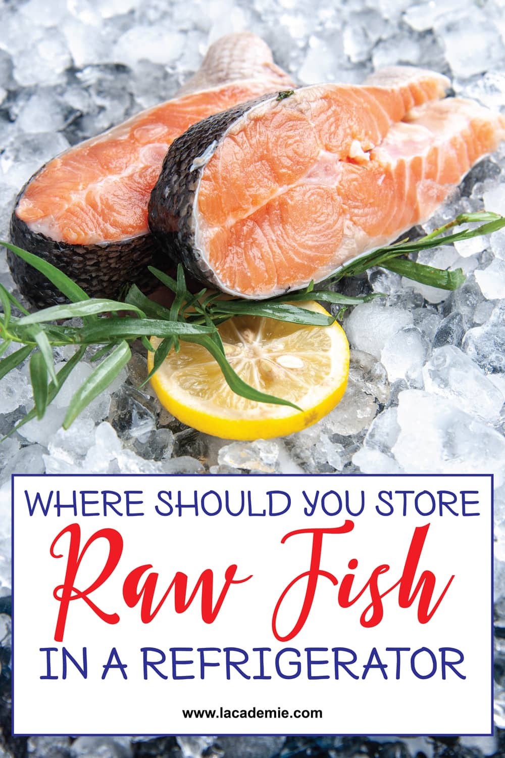 Where to Store Raw Fish in a Refrigerator? Optimal Guide 2024