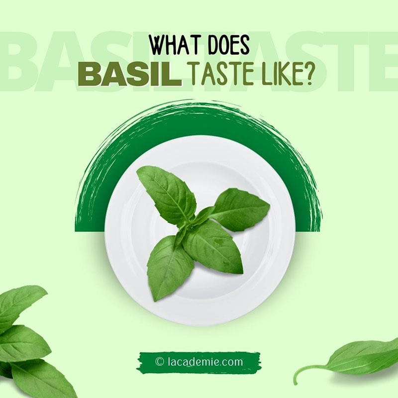 Basil Taste Likes