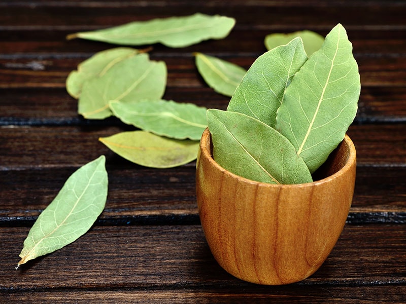 Bay Leaf Dried Bowl