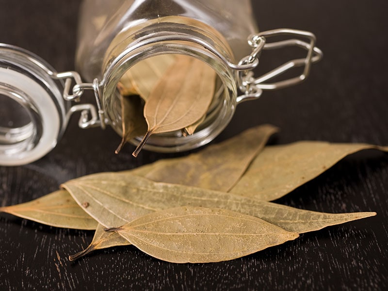 Bay Leaf Glass Jar