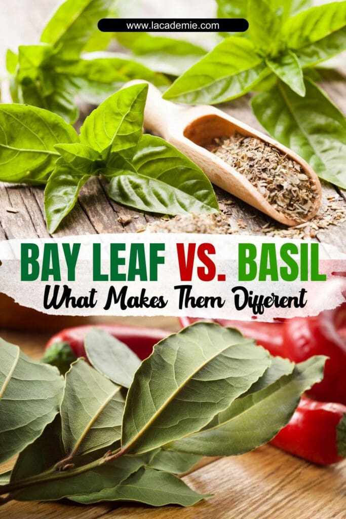 Bay Leaf Vs Basil