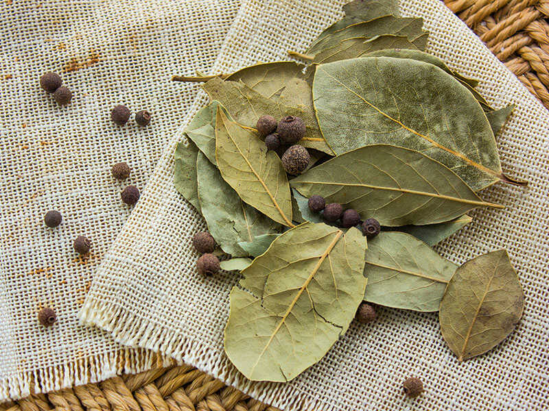 Bay Leaves On Straw