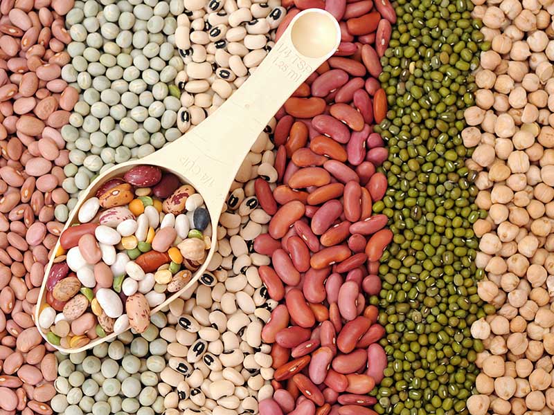 Beans Natural