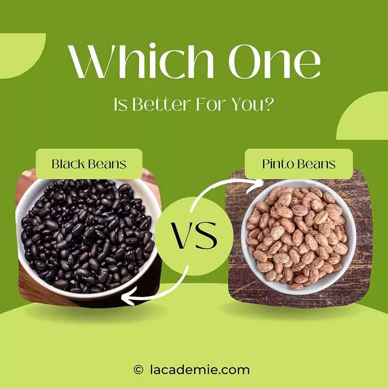 Black Beans Vs Pinto Bean