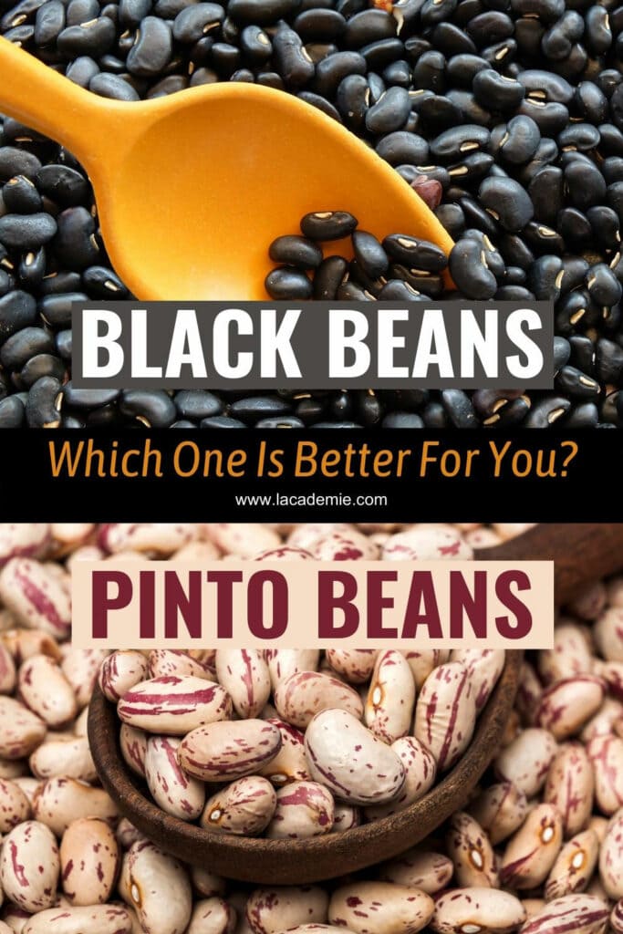 Black Beans Vs Pinto Beans
