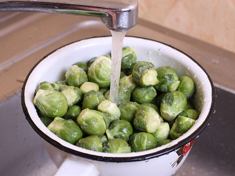 Brussels Sprout Colander