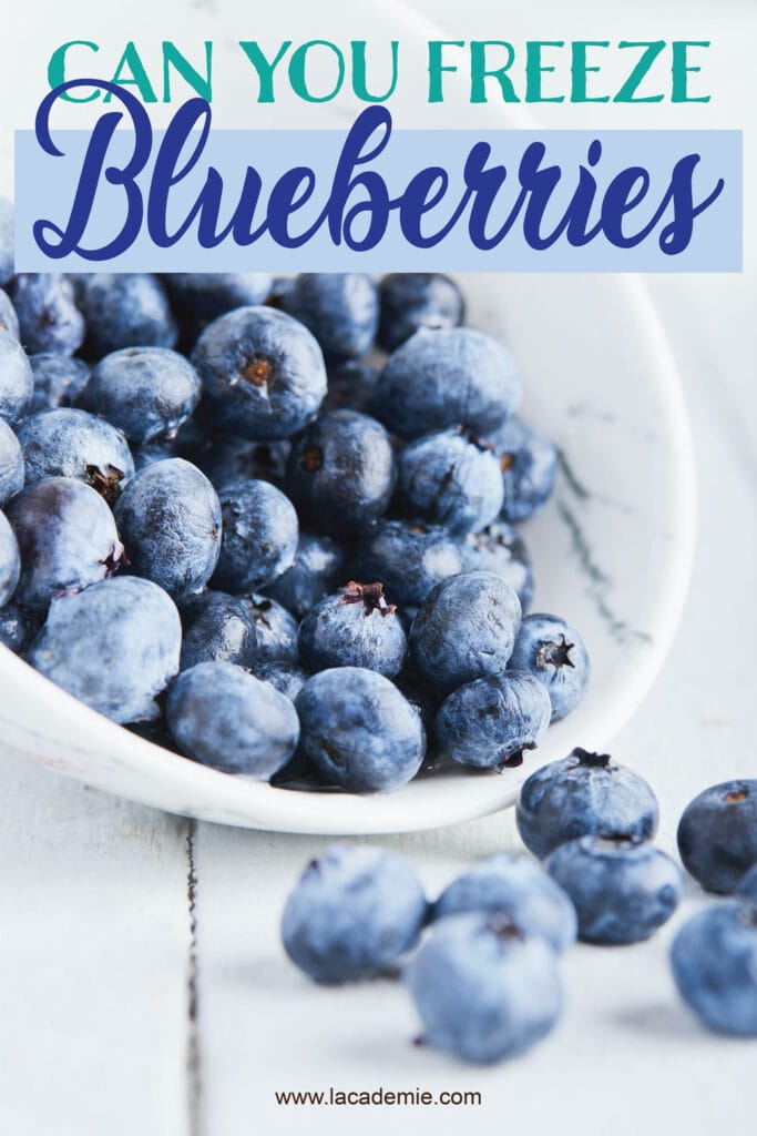 Can You Freeze Blueberries