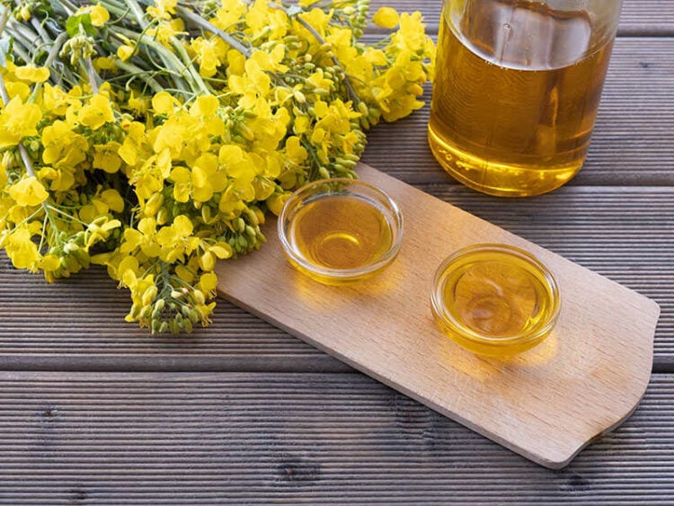 6 Best Oil To Fry Donuts That You Need To Know In 2023