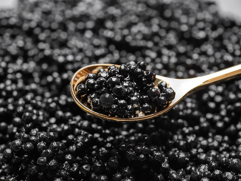 Caviar Is Best Enjoyed Alone