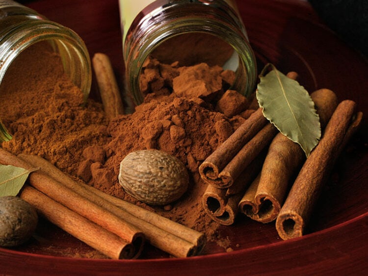 Nutmeg vs. Cinnamon Flavor Differences Explained 2024