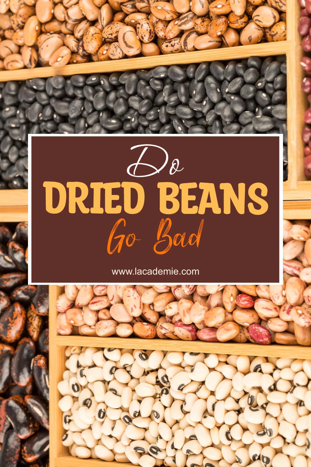 Do Dried Beans Go Bad The Only Answer You’ll Ever Need 2024