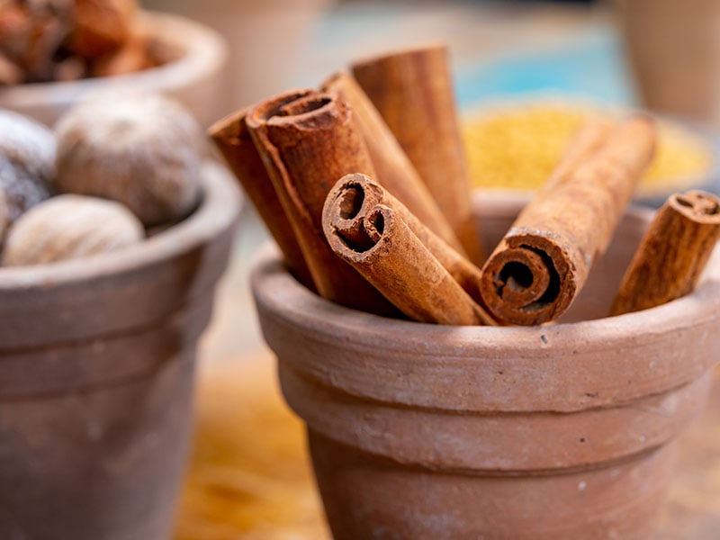 Dried Aromatic Cinnamon