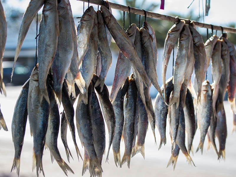 Dried Fish