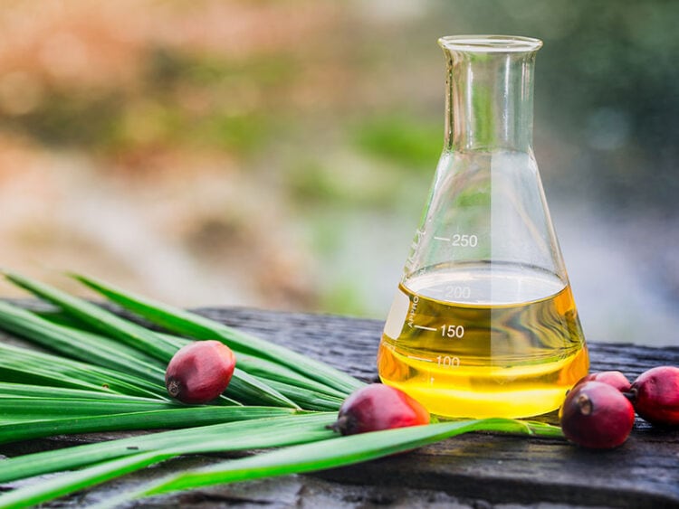 6 Best Oil To Fry Donuts That You Need To Know In 2023