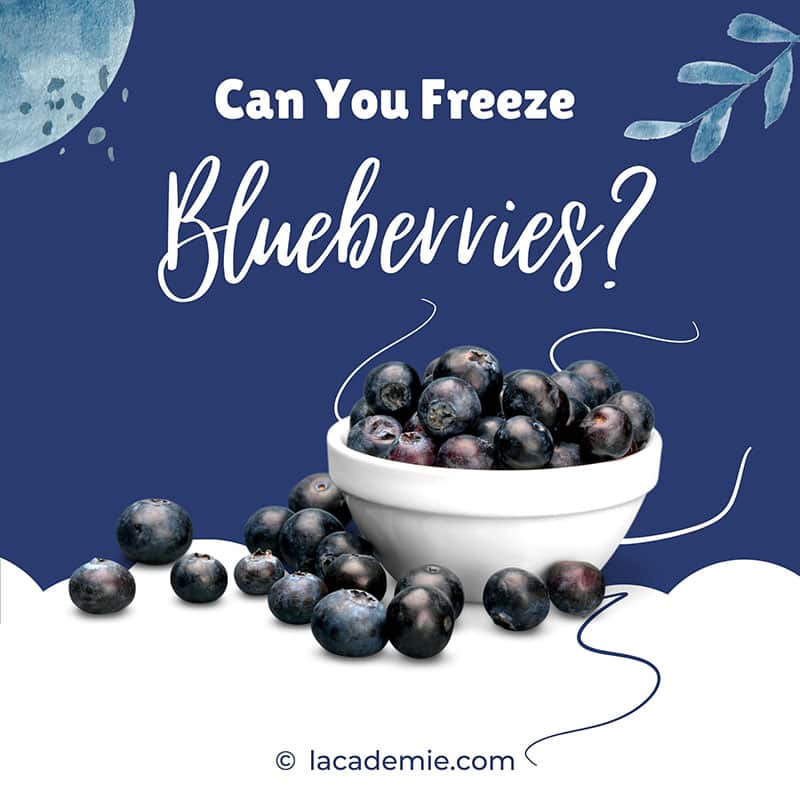 Freeze Blueberries