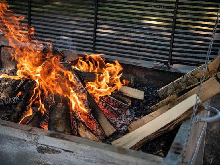 Grill Grate Tongues Fire Flame