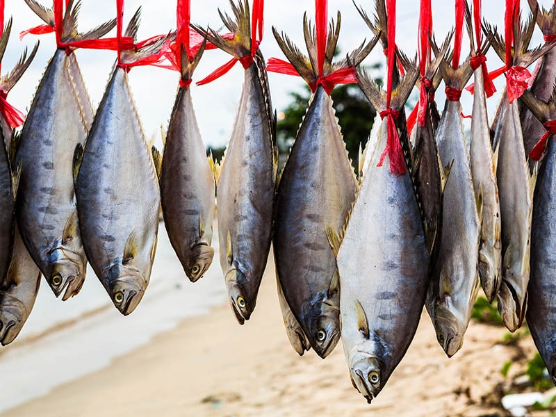 Hang Salted Fish To Dry