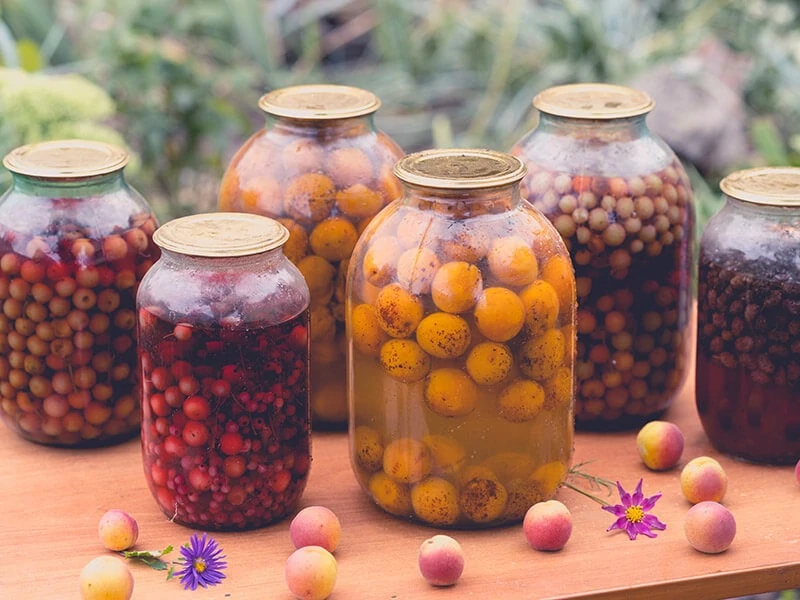 Jars Kompot