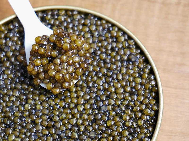 Kaluga Caviar