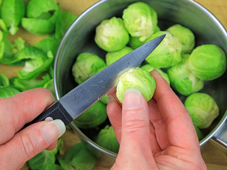 Kitchen Vegetable Knife