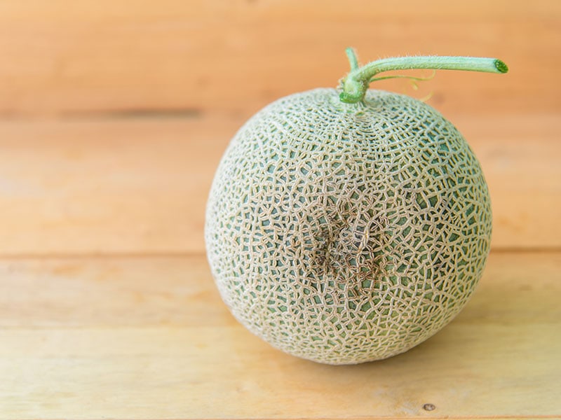 Melon Damaged