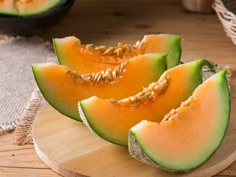 Melon Slice