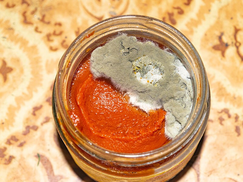 Mold Growing On Tomato Paste