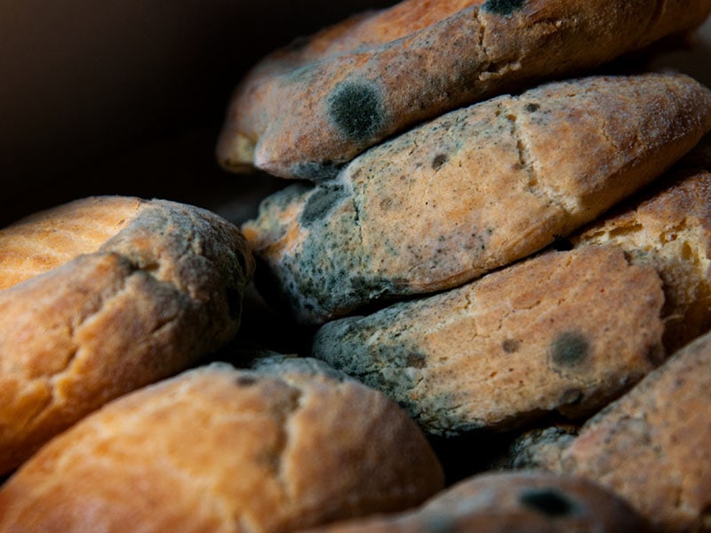 Moldy Bread Spoiled Bakery