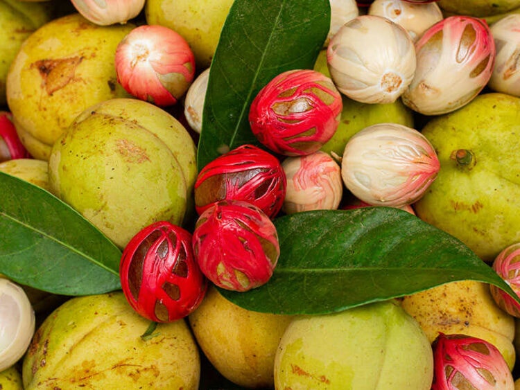 Nutmeg vs. Cinnamon Flavor Differences Explained 2024