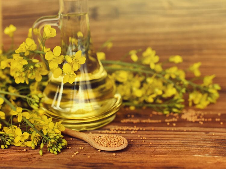 16 Best Oils for Stir Fry in 2024 The Ultimate Guide