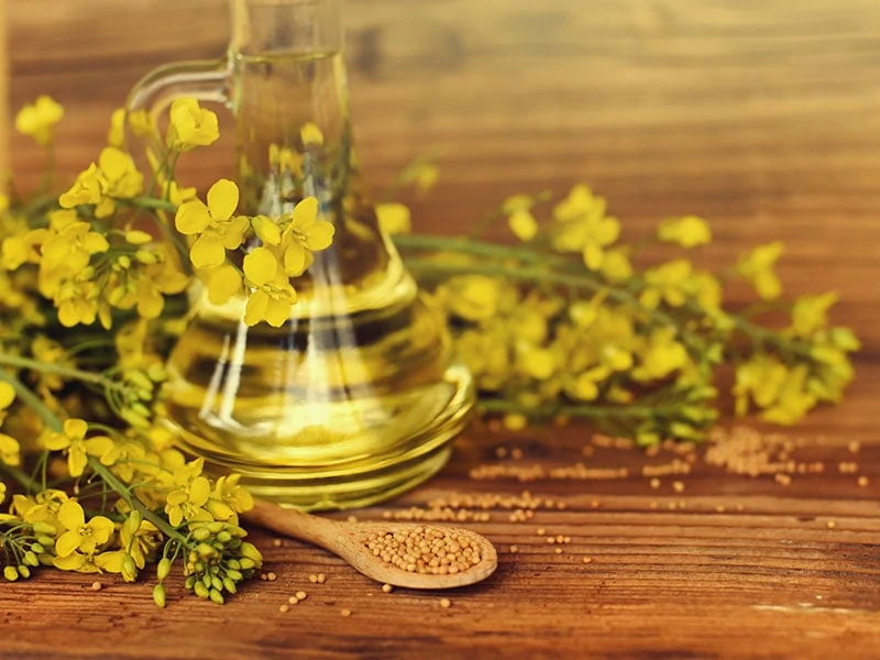 Refined Canola Oil