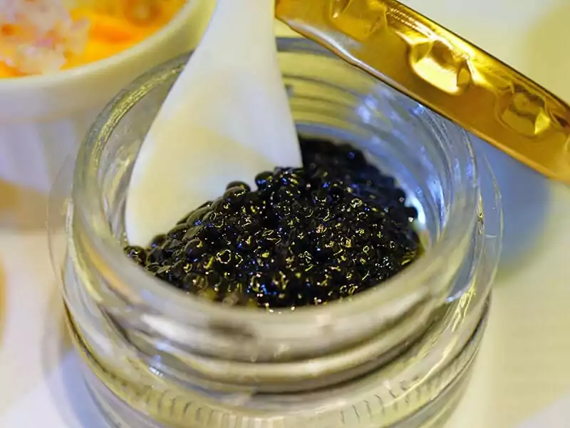 Sevruga Caviar