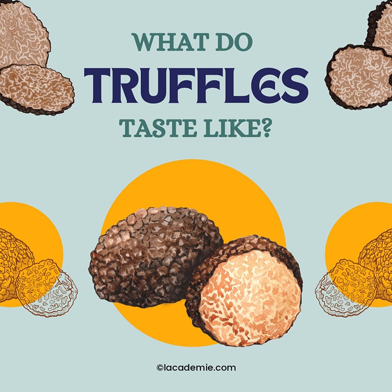 Truffles Taste Likes