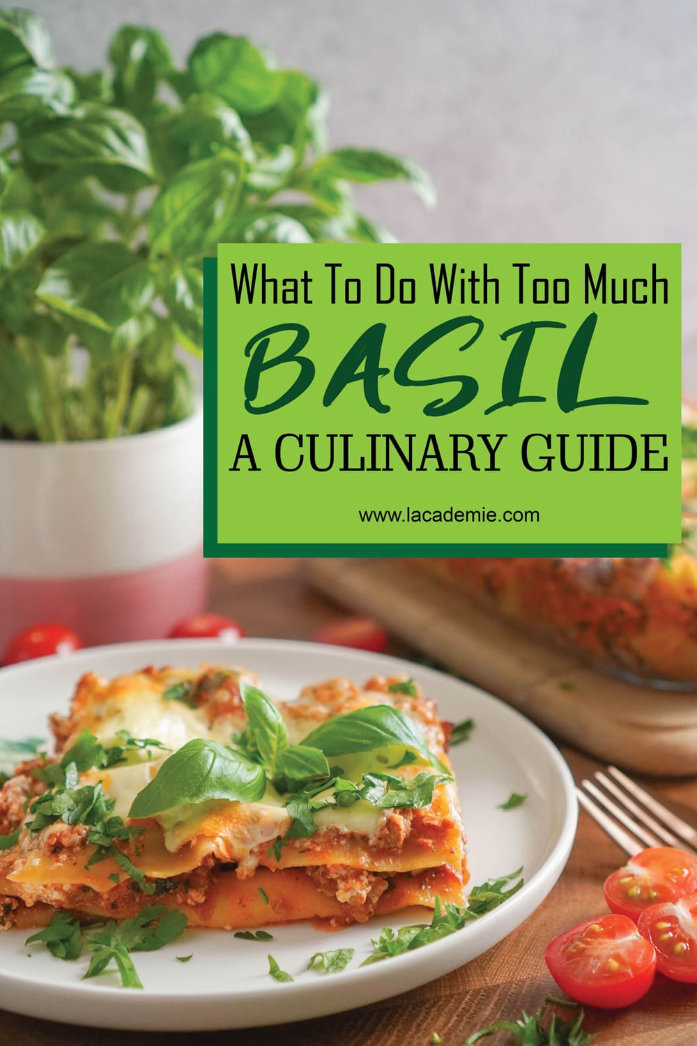 What To Do With Excess Basil Tips & Tricks 2024