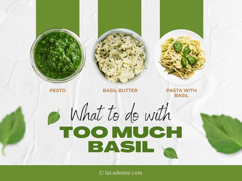 With Too Much Basil