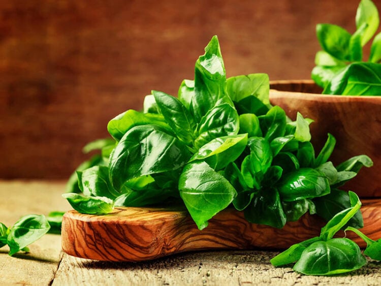 Basil vs. Mint Key Differences and Uses in 2024