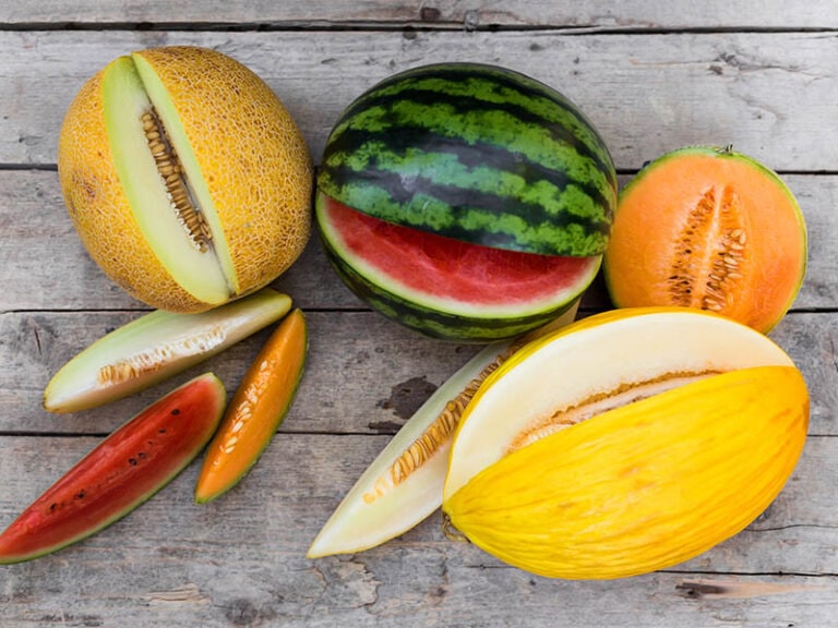 Cantaloupe vs. Muskmelon Discover the Differences 2024
