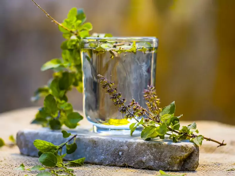 Basil Flower Infused Water