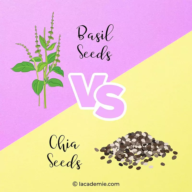 Basil Seeds Vs Chia Seed