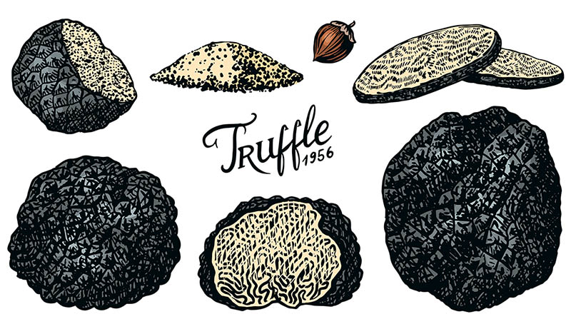 Best Truffles