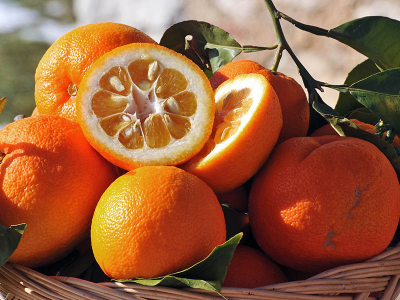 Bitter Orange Citrus Fruits