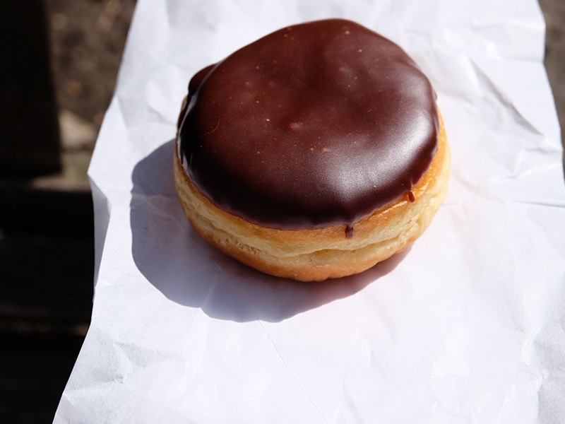 Boston Cream Donut