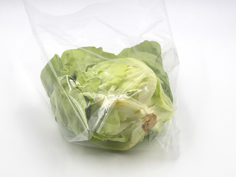 Butterhead Lettuce