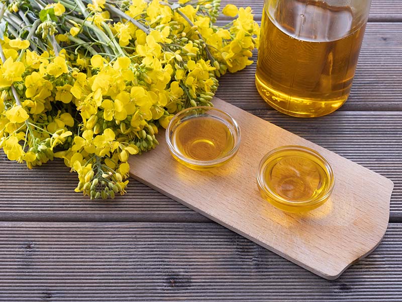 Canola Oil Is Beneficial